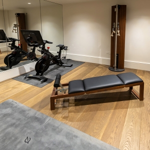 basement gym london PR-SP3